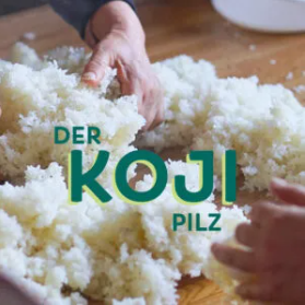 umami rezepte mit koji-pilz