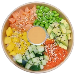 poke-bowl-salmone-1-390×0-c-default